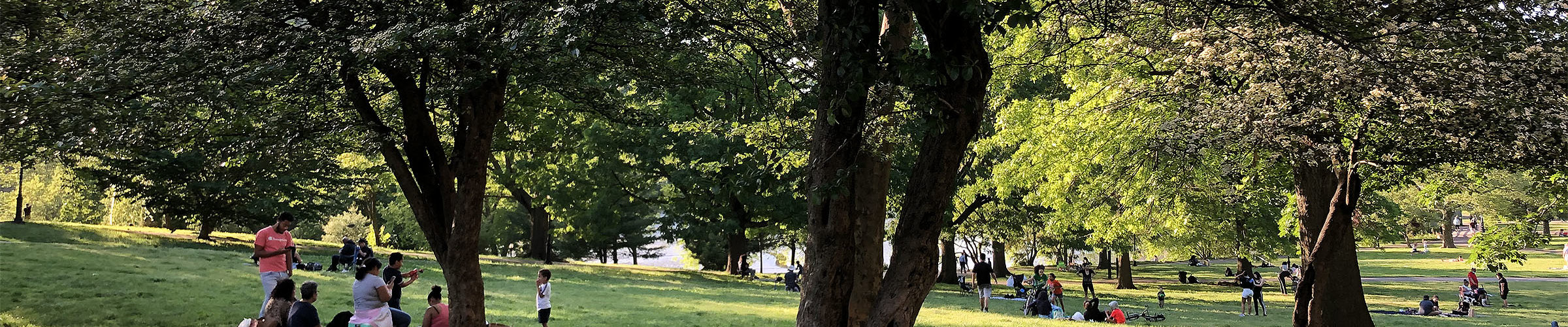 Inwood Hill Park in Manhattan