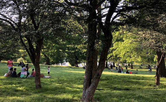 Inwood Hill Park in Manhattan