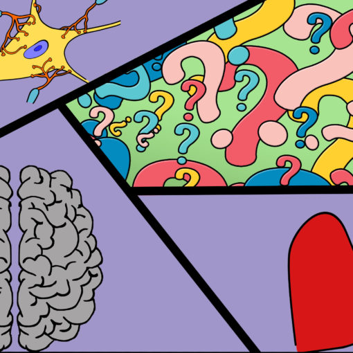 illustration of heart, neuron, brain and question marks