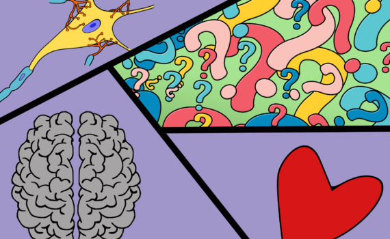 illustration of heart, neuron, brain and question marks